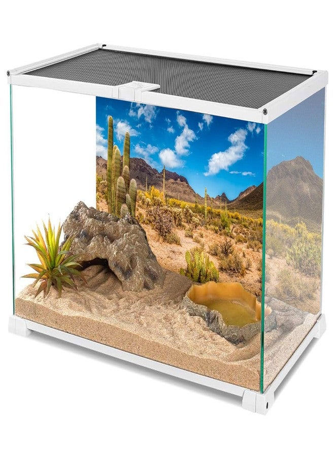 AWERT 48x24 inches Reptile Habitat Background Blue Sky Oasis Cactus Desert Terrarium Background Vinyl - Image 3
